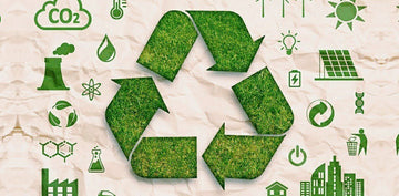 Swatch’s Sustainability Efforts: How the Brand Is Leading in Eco-Friendly Practices - SwatchVintage