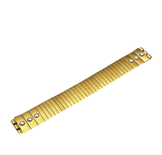 Bracelet de rechange Swatch 17 mm en métal souple SEETANG SDK901