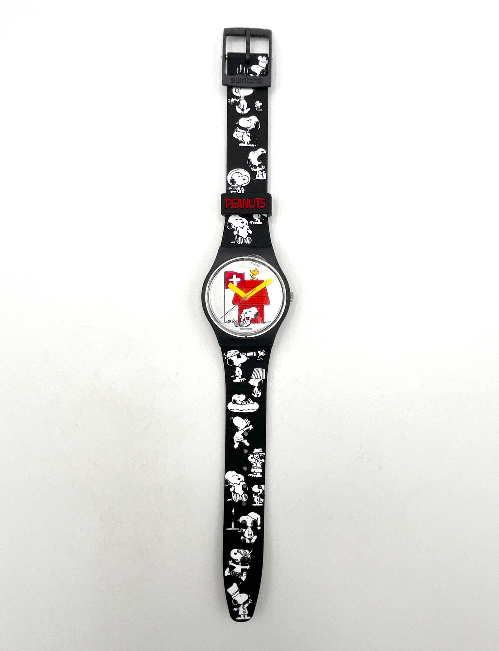 Swatch Gent LISA FAN by Claudia Carieri GZ280 (2013)